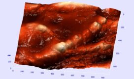 Screenshot_2021-06-23-11-49-47-076_com.microsoft.office.word-02-01